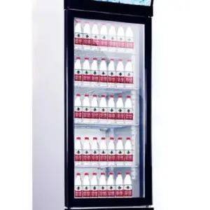 Standing 260L Single Glass Chiller